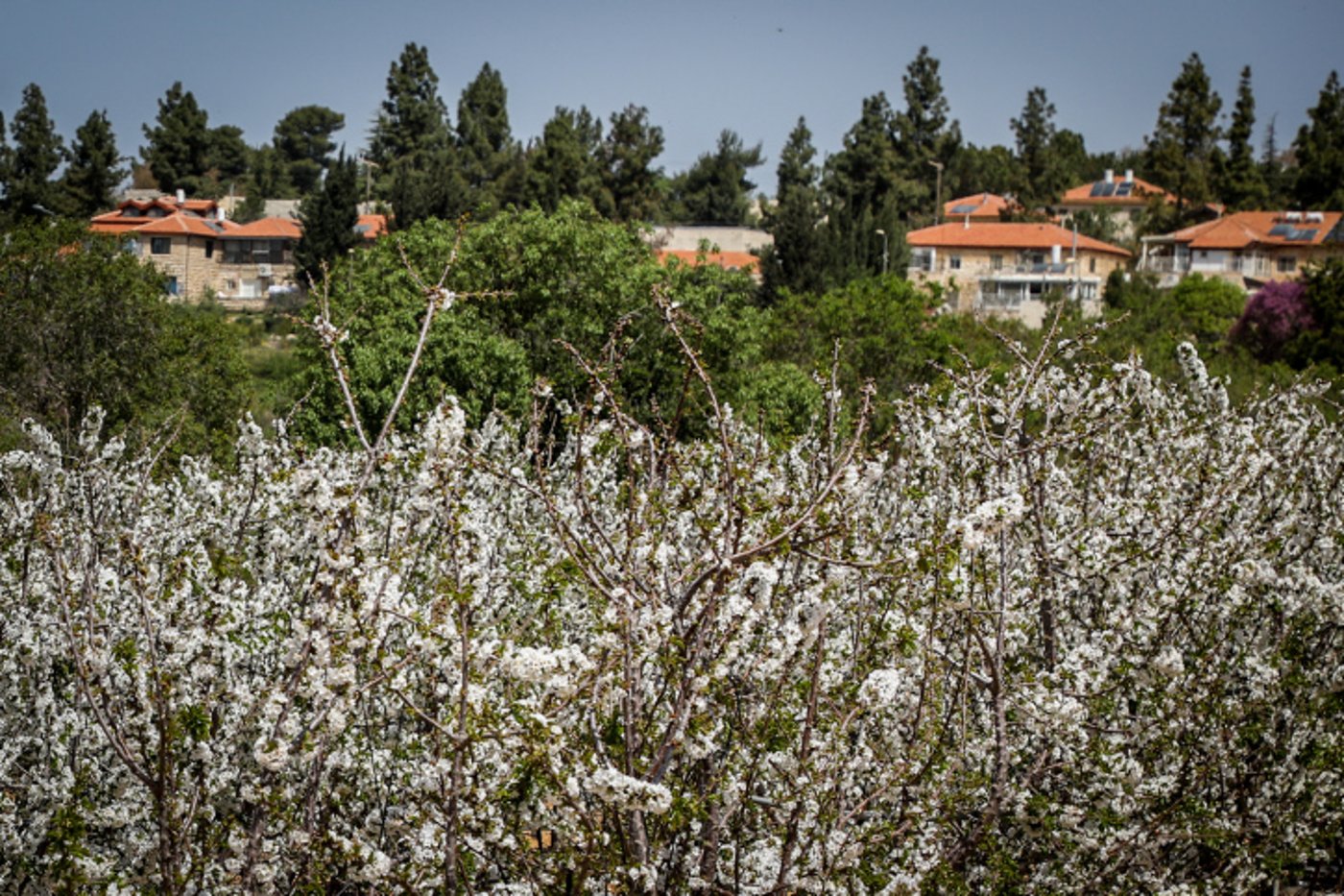 מגרעון לצמיחה: מועצת גוש עציון הצליחה בתהליך ההתייעלות