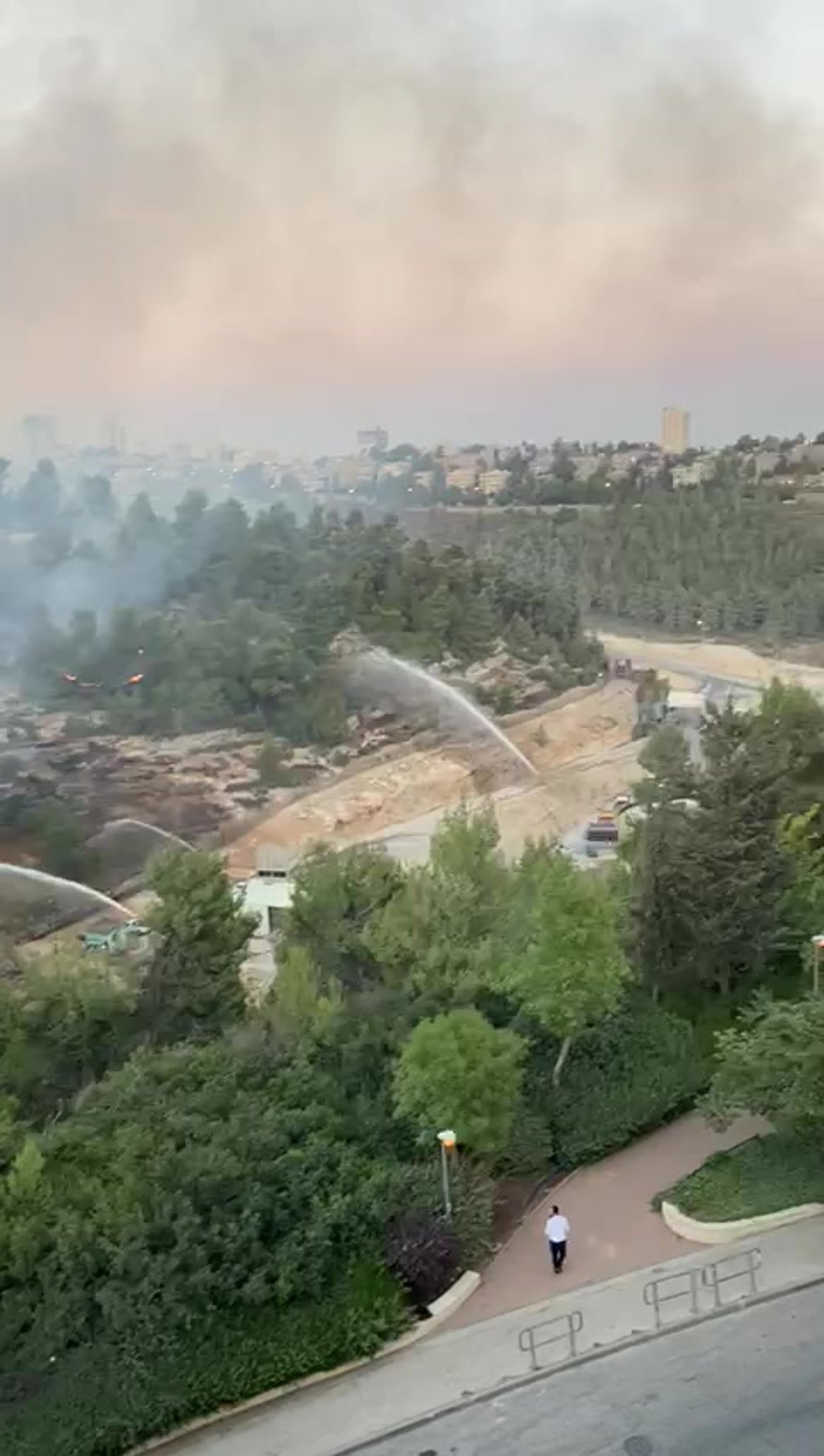 ערבי נעצר בחשד להצתת השריפה בגבעת שאול