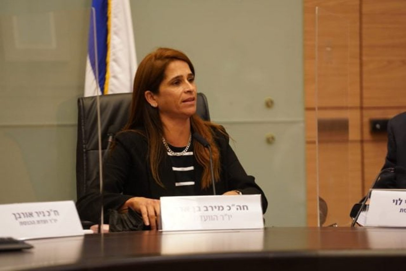 ח"כ בו ארי
