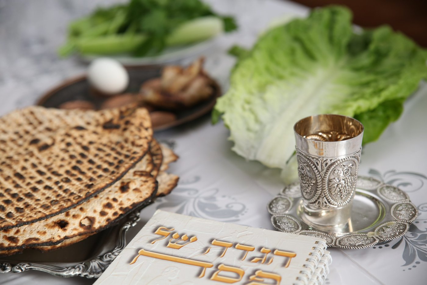 "הספר שילווה אתכם לקראת, בתוך וגם אחרי חג הפסח"