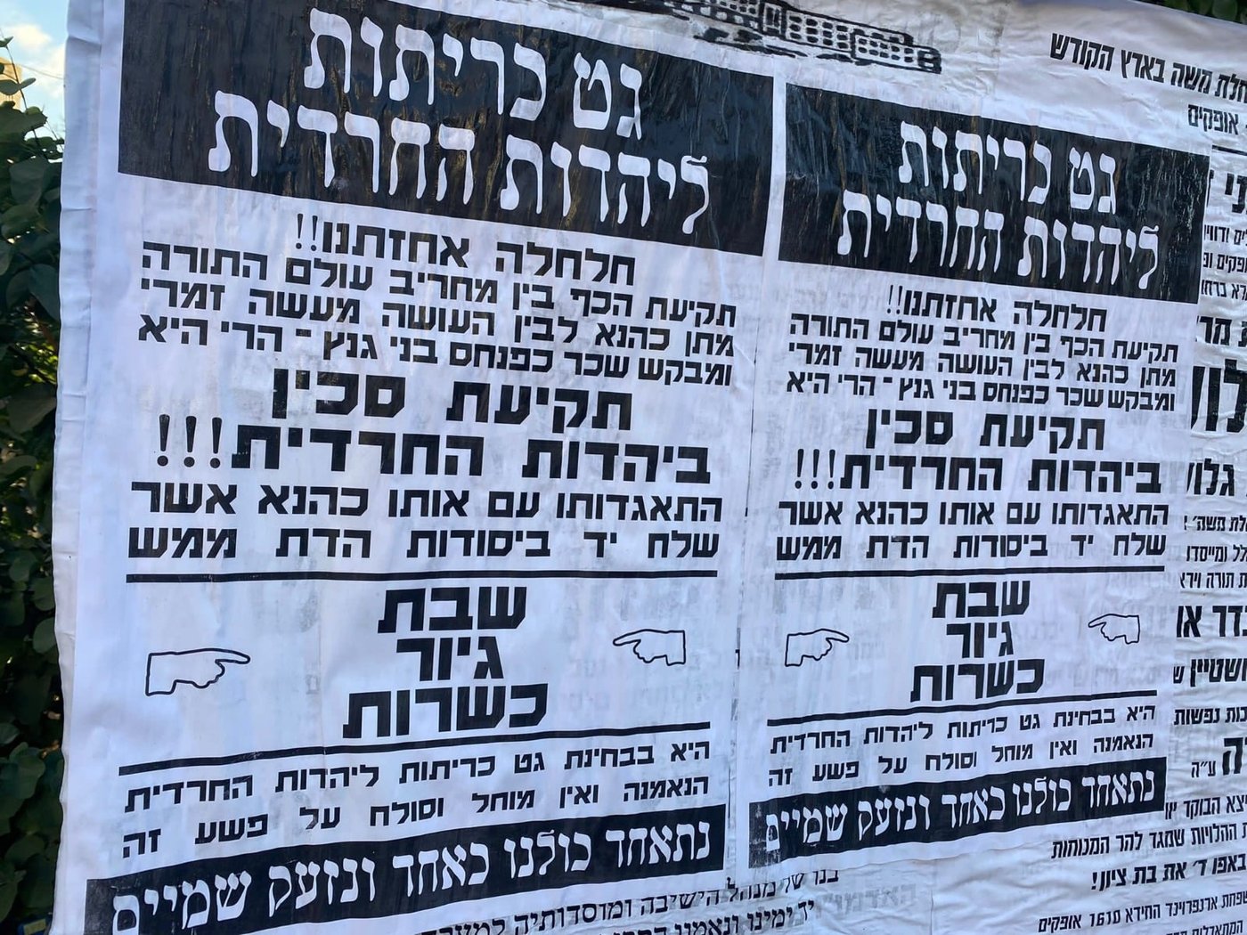 "צירוף מתן כהנא – תקיעת סכין ביהדות החרדית"