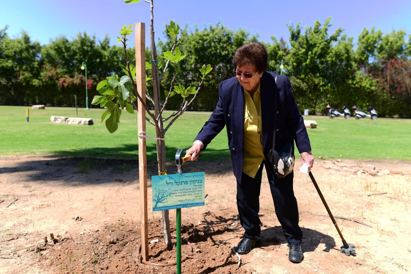 היום בהיסטוריה: 400,000 יהודי רומניה ניצלים ממוות