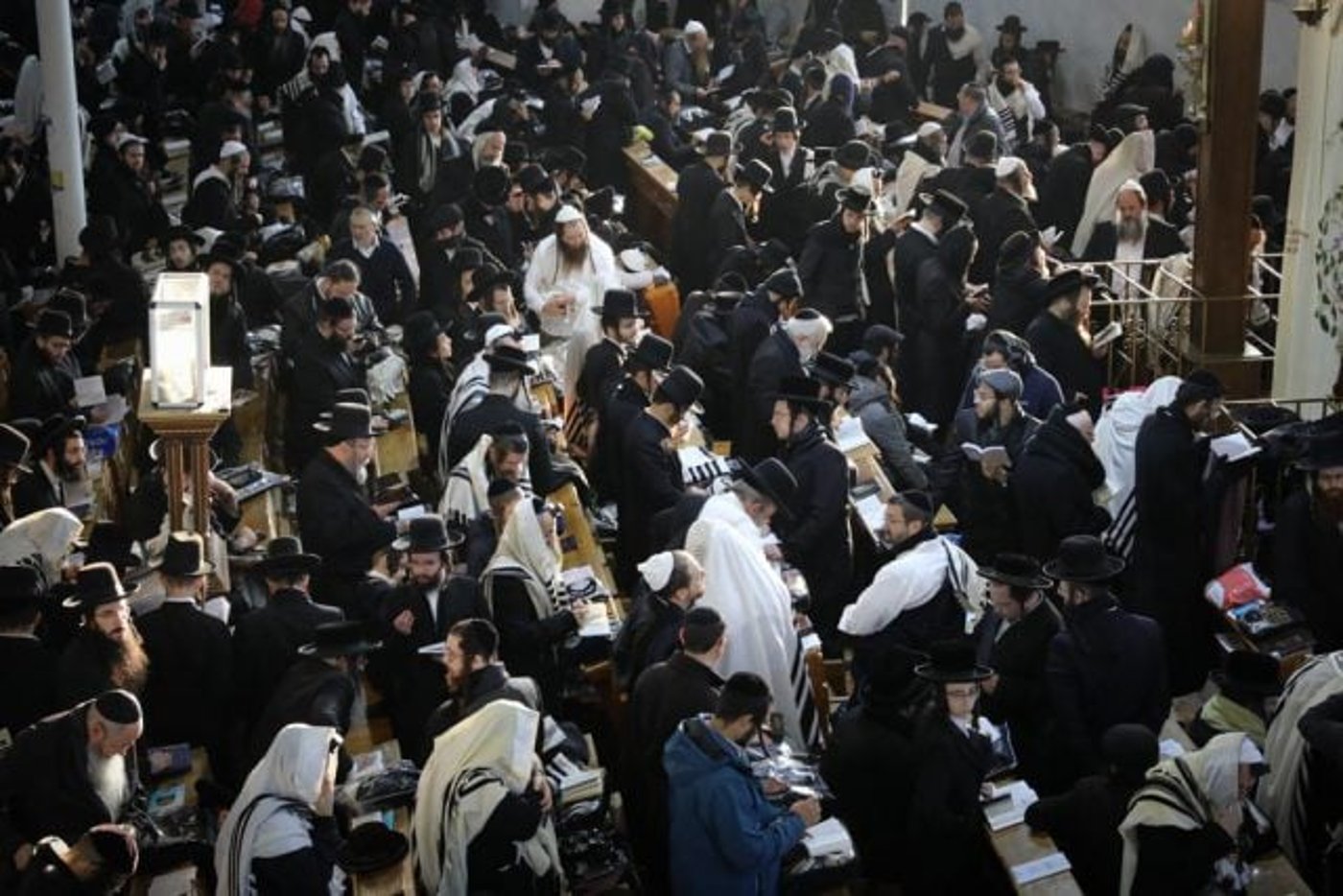 קיבוץ החסידים באומן תשפ"ג (חיים גולדברג)