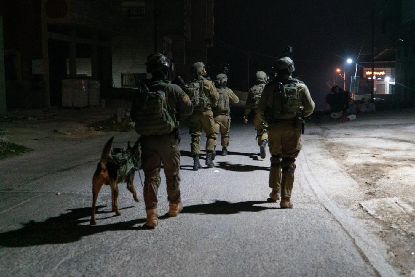 בפעילות משותפת: נעצר מבוקש שירה לעבר לוחמים