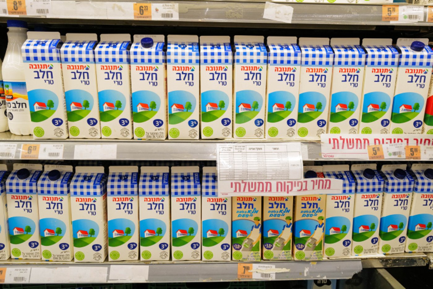 תנובה בלמה מתקפת סייבר: "ייתכנו עיכובים באספקות"