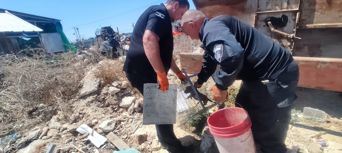 'הוחזקו בתנאים קשים': התעללו בגורי כלבים ונתפסו