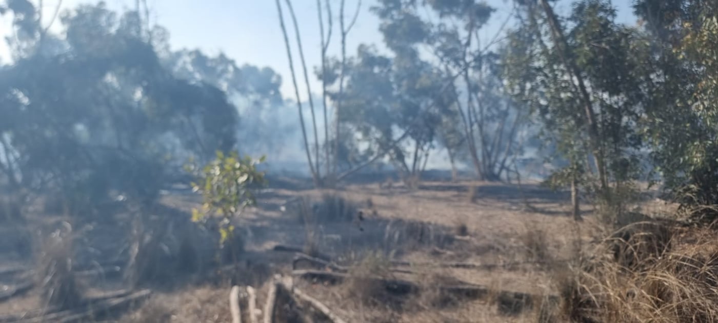 חשד להצתה מבלון תבערה: שריפה פרצה ביער בארי