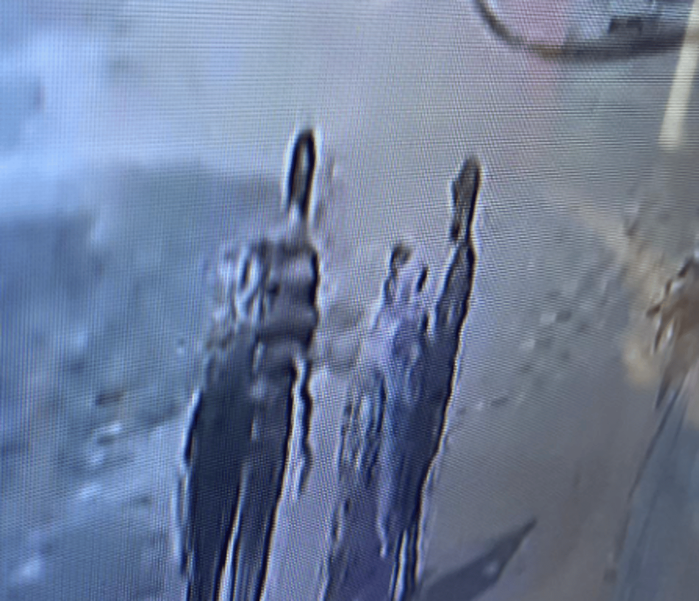 משפחת ביבס מגיבה לתיעוד: "רוע מפלצתי"