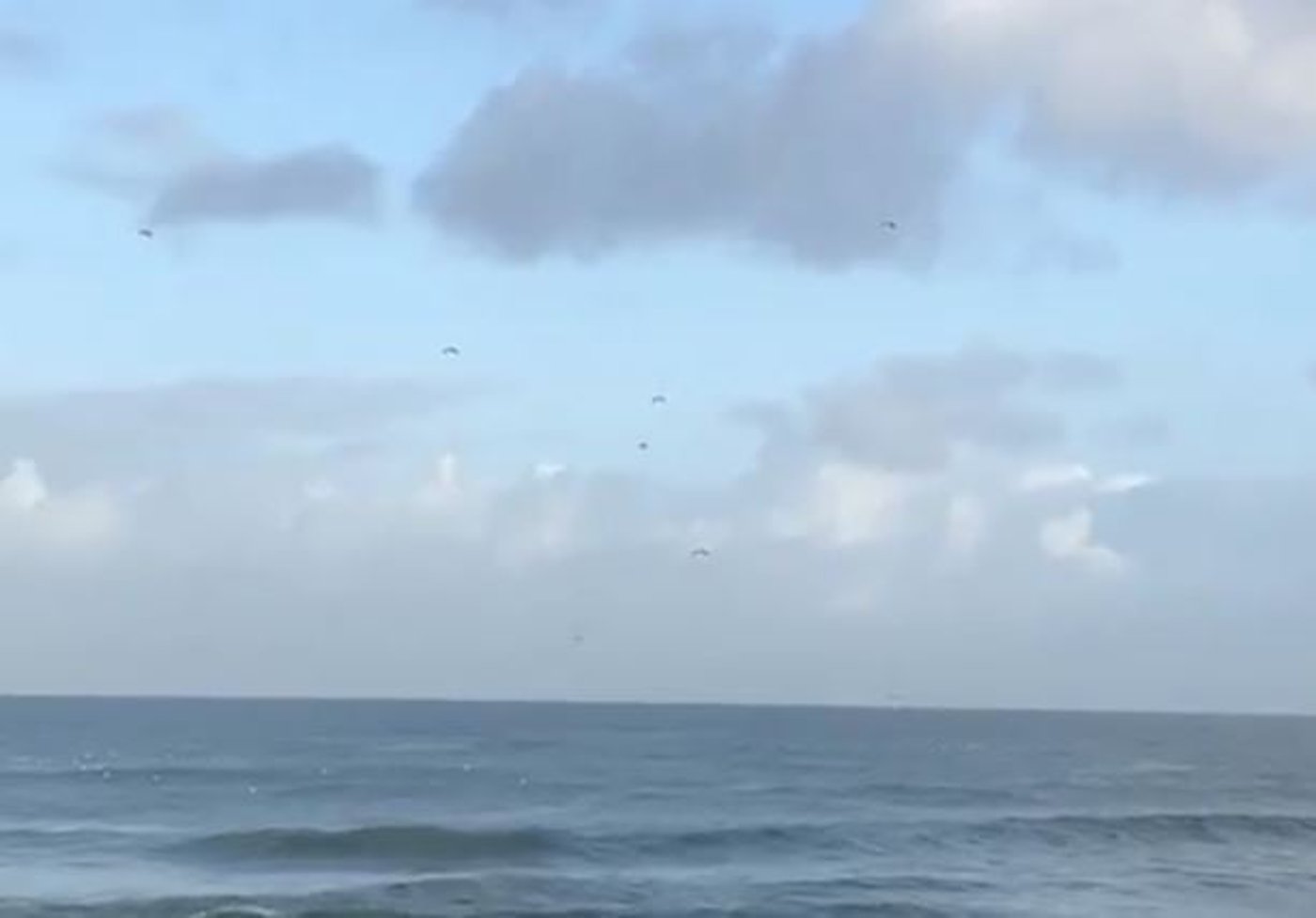 שוב פאדיחות: הסיוע לתושבי עזה נחת עמוק בים