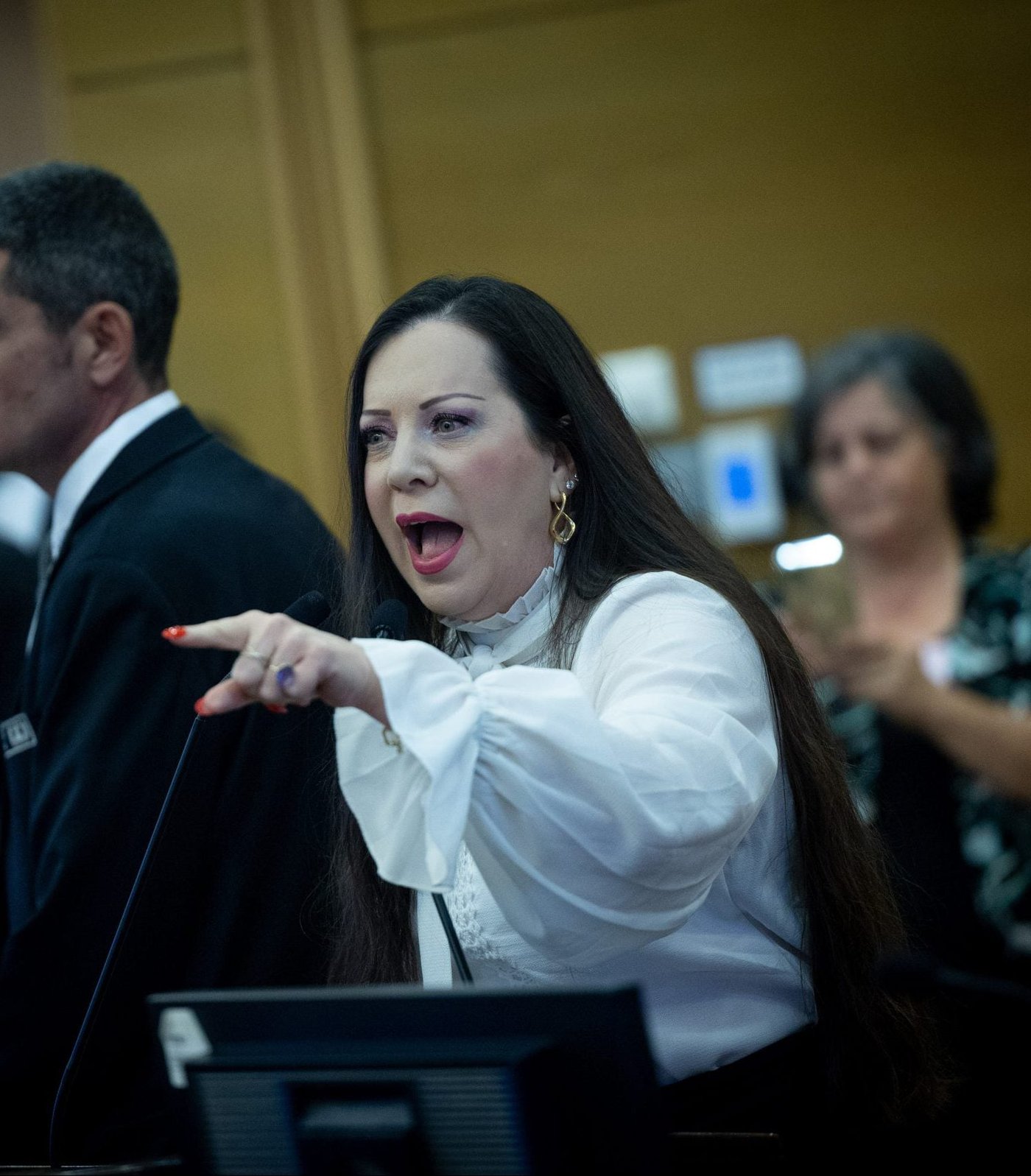 עוד מופע אימים בכנסת: "אני לא הכלבה שלך" | צפו בעימות