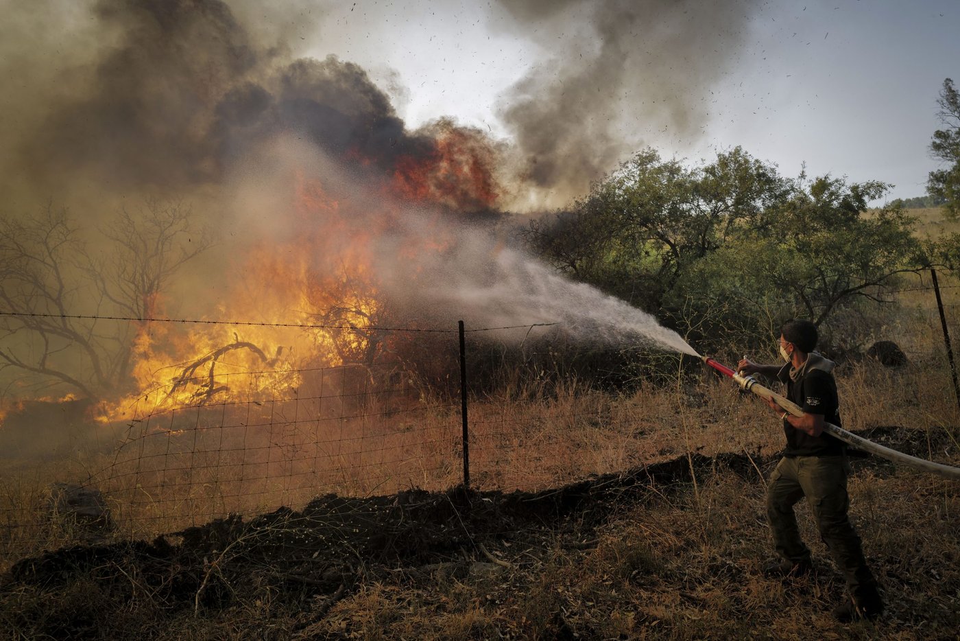מנהל המרחב: זה האסון הגדול בהיסטוריה של קק"ל