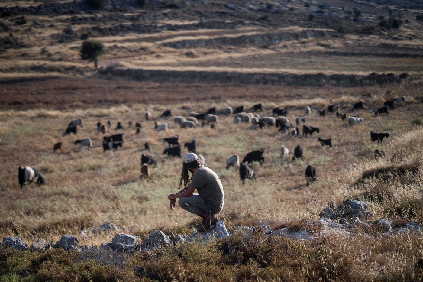 אחרי שבוע בחקירות: המתיישבים הקטינים נפגשו עם עו"ד