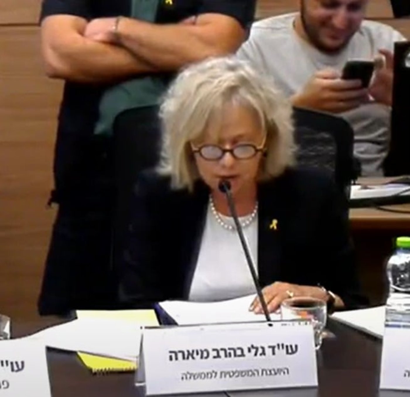 היועמ"שית בכנסת