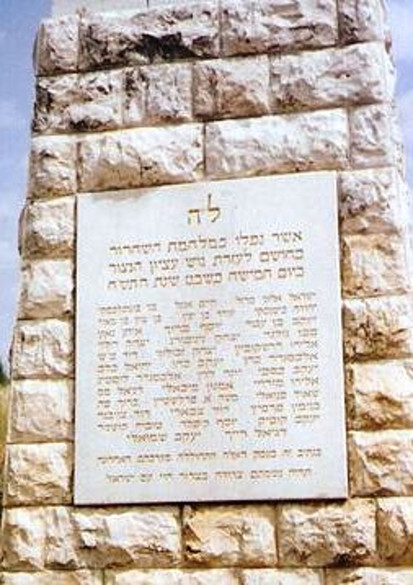 מה הייתם עושים לו הייתם מפקדי מחלקת הל"ה?