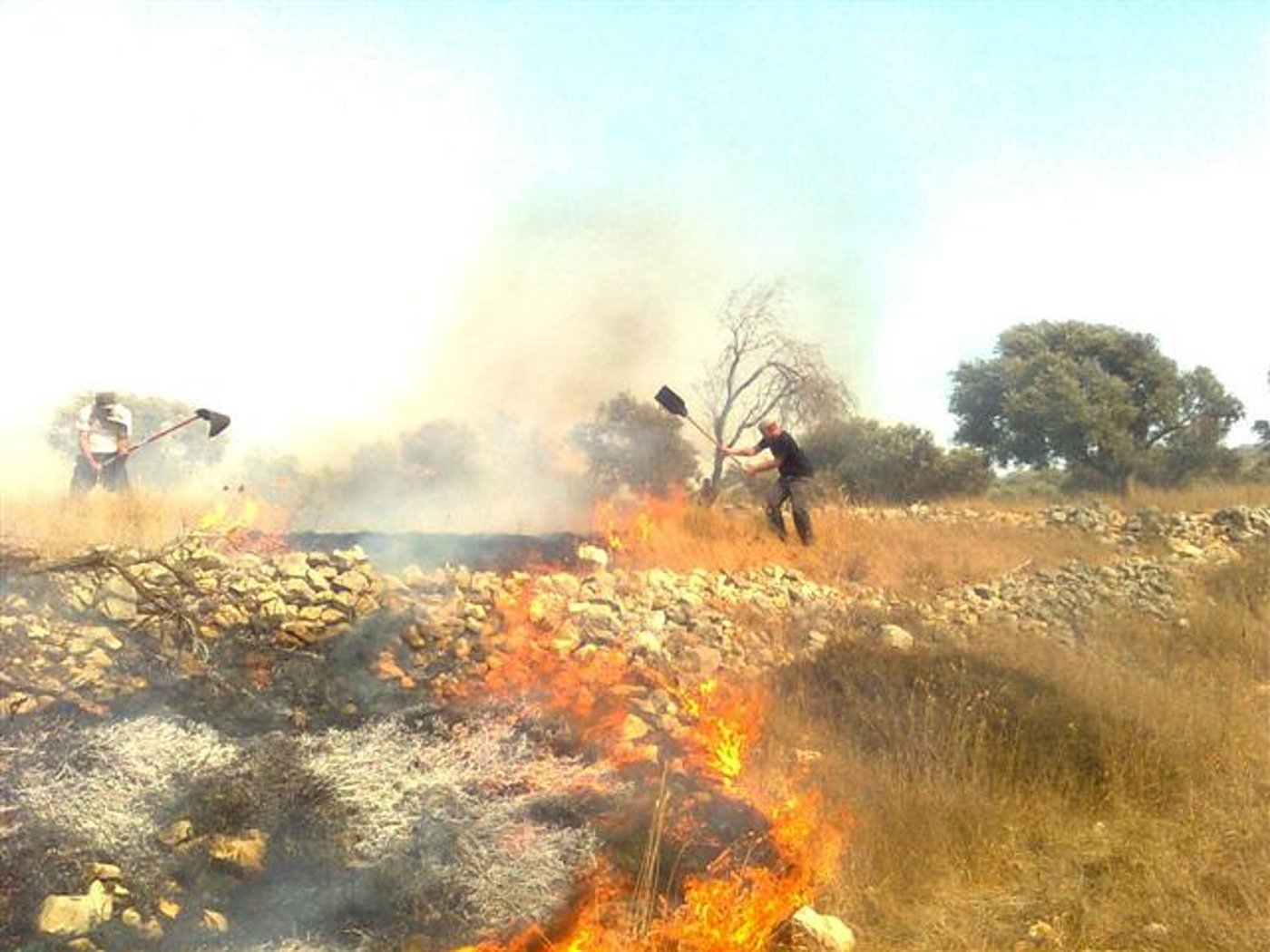 ערבים הציתו שריפה שכמעט והגיעה לבתי 'גבעת רונן'