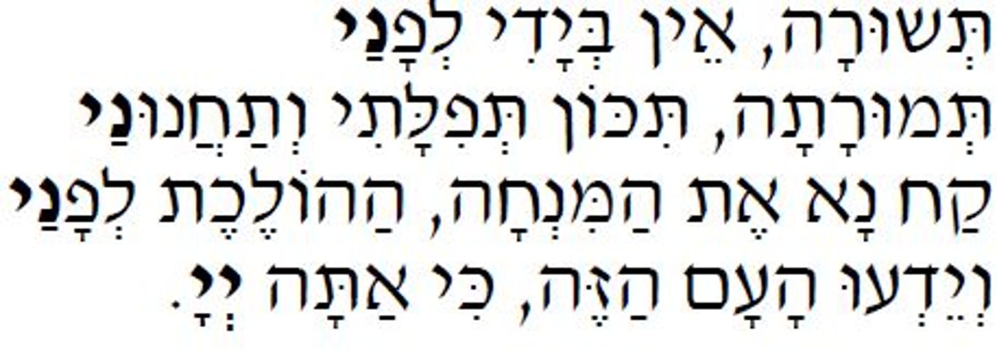 הסליחות של האשכנזים מוכיחות: את שם ה' צריך לבטא דווקא כמו הספרדים