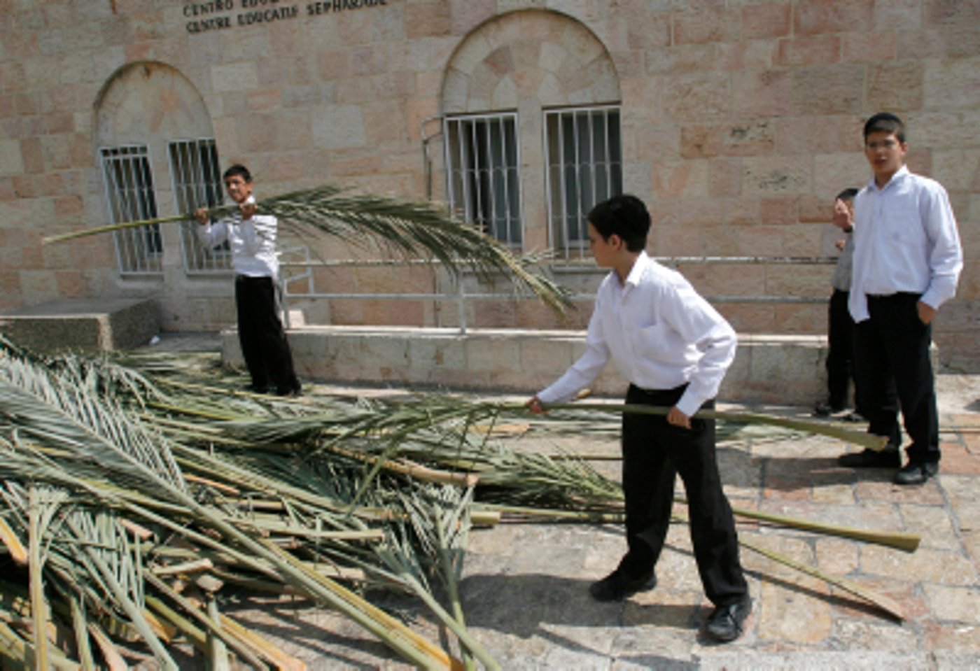 יוצא דופן: הלקסיקון המלא של בניית הסוכה