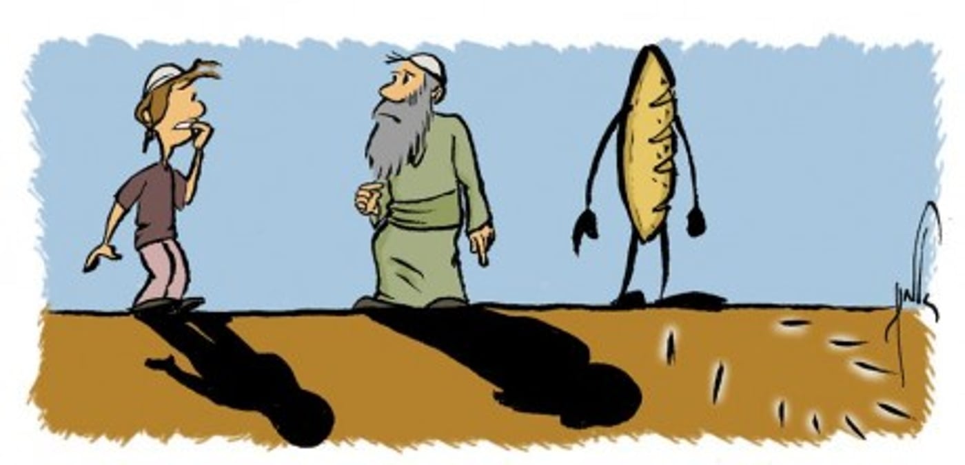 קריקטורה לכבוד שבת: פרשת שלח