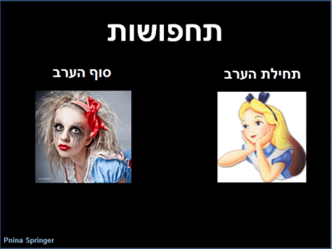 מצעד דוסים מצייצים: הממים הכי מצחיקים של הסרוגים