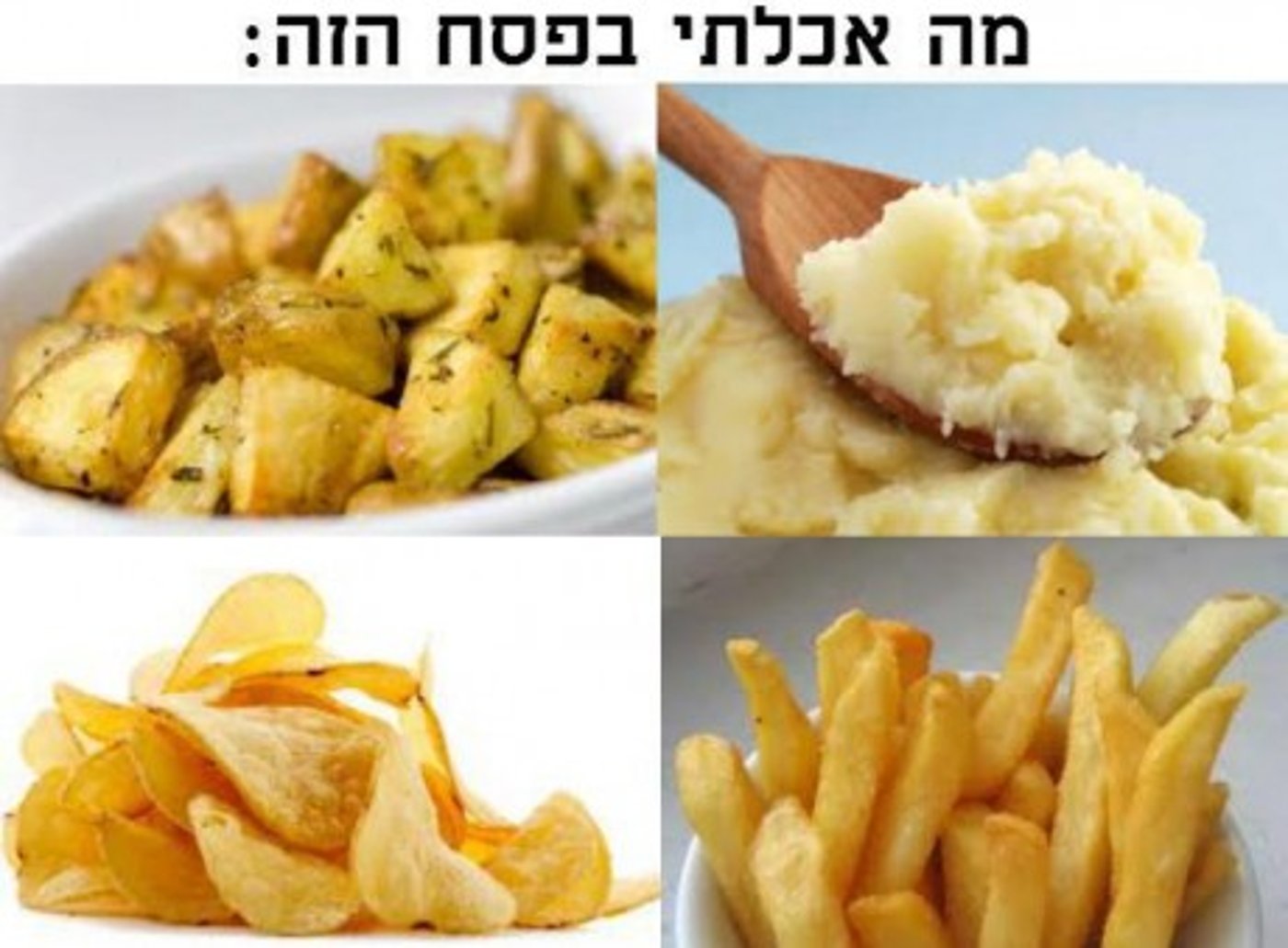 מצעד דוסים מצייצים מורחב: הממים הכי מצחיקים בפסח