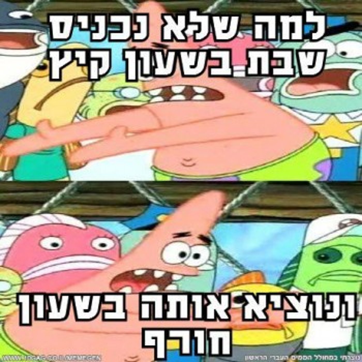 מצעד דוסים מצייצים מורחב: הממים הכי מצחיקים בפסח