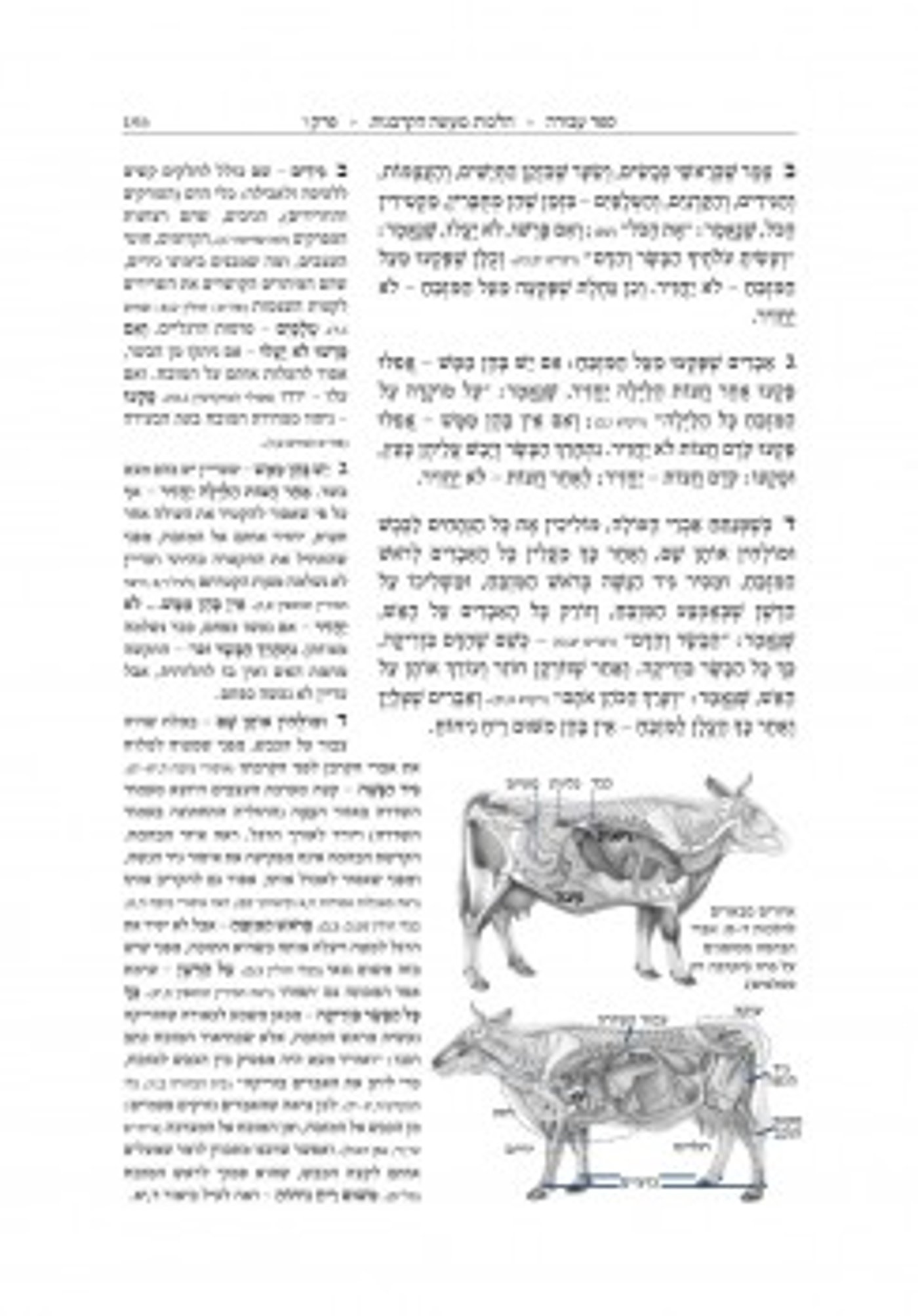 אפליקציית תורה ועבודה: ללמוד ולהבין את הרמב"ם