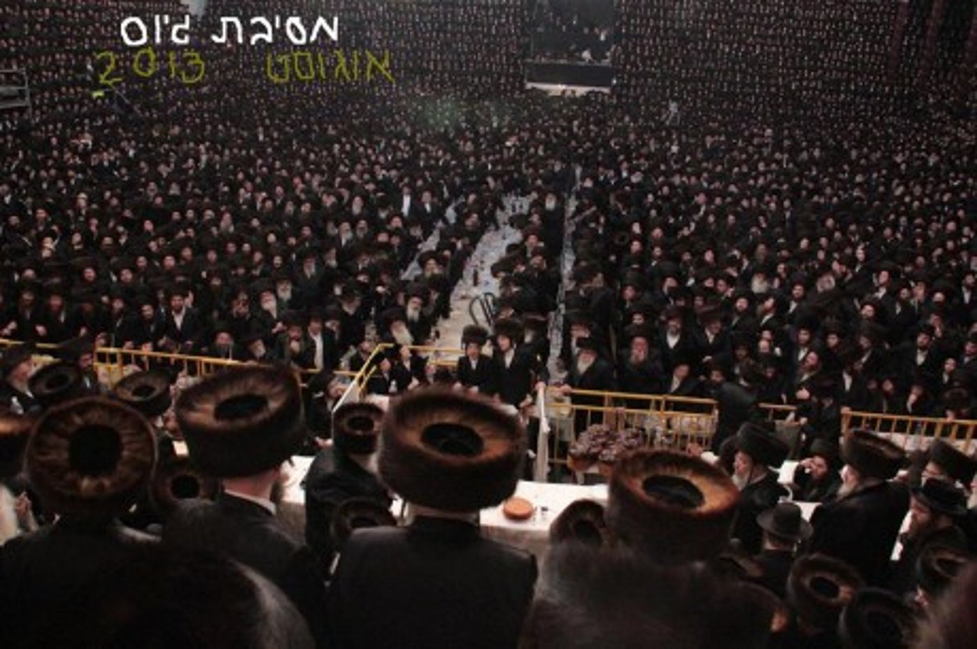 מצעד דוסים מצייצים 23: הממים האהובים ביותר השבוע