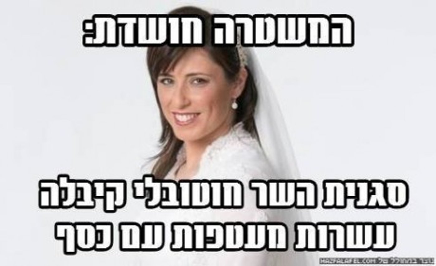 מצעד דוסים מצייצים 23: הממים האהובים ביותר השבוע