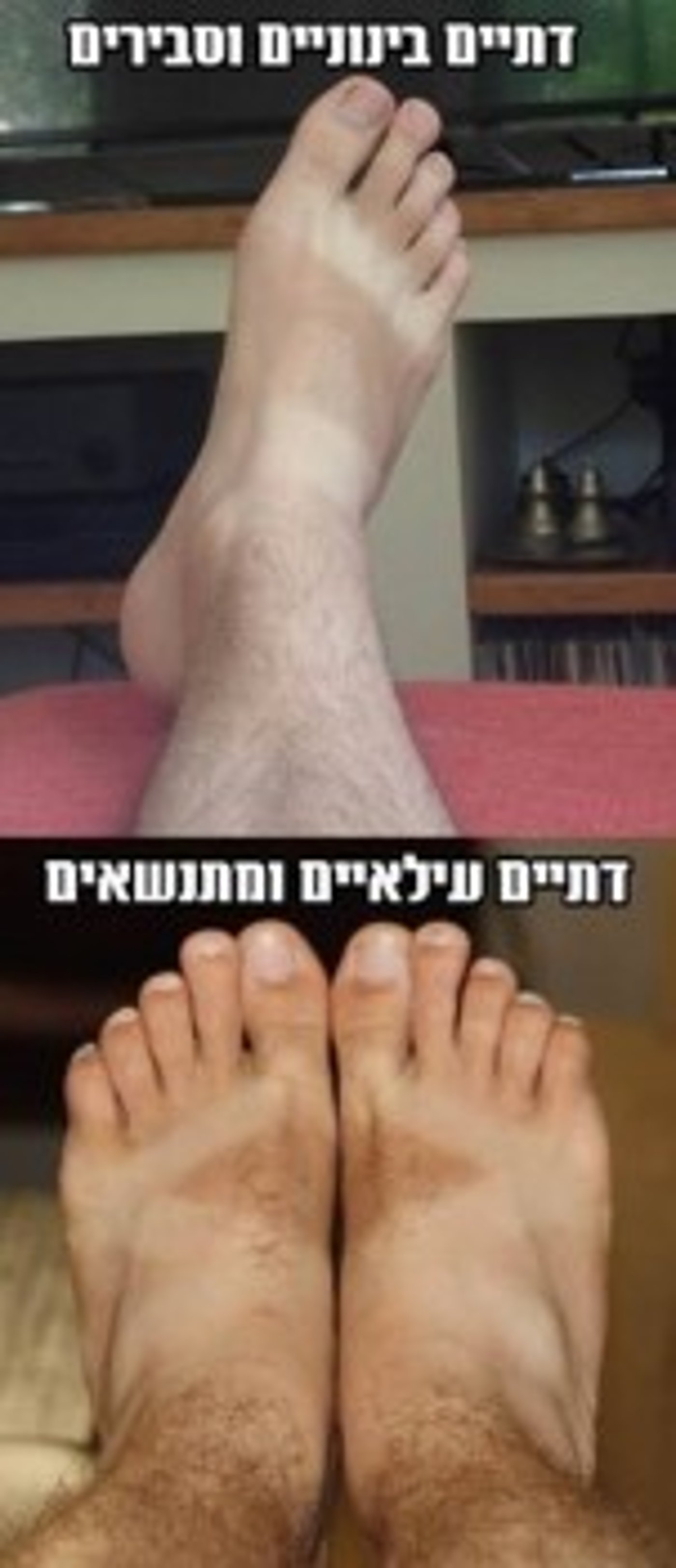 מצעד דוסים מצייצים 32: הממים האהובים ביותר השבוע