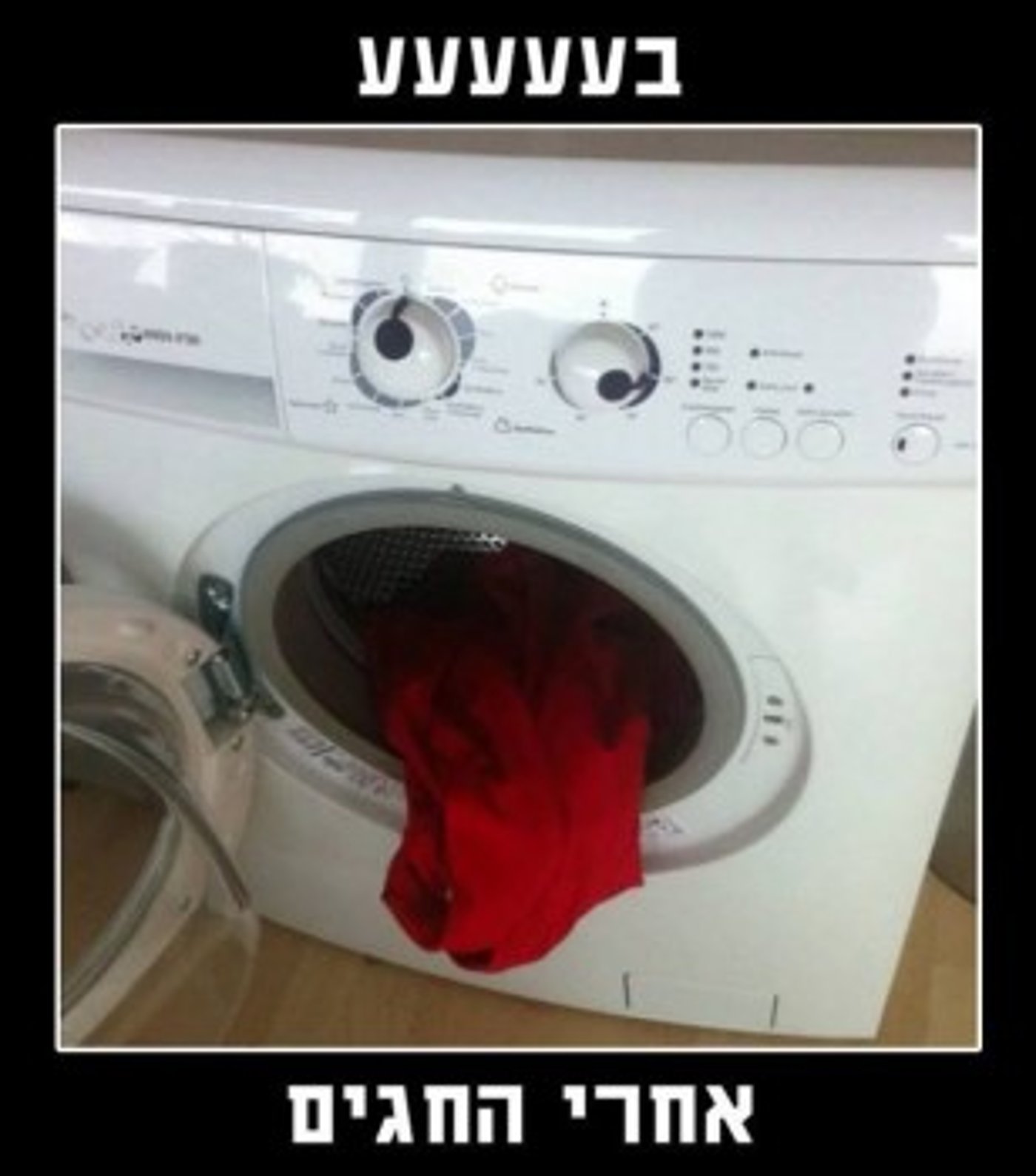מצעד דוסים מצייצים 39: הממים האהובים ביותר השבוע