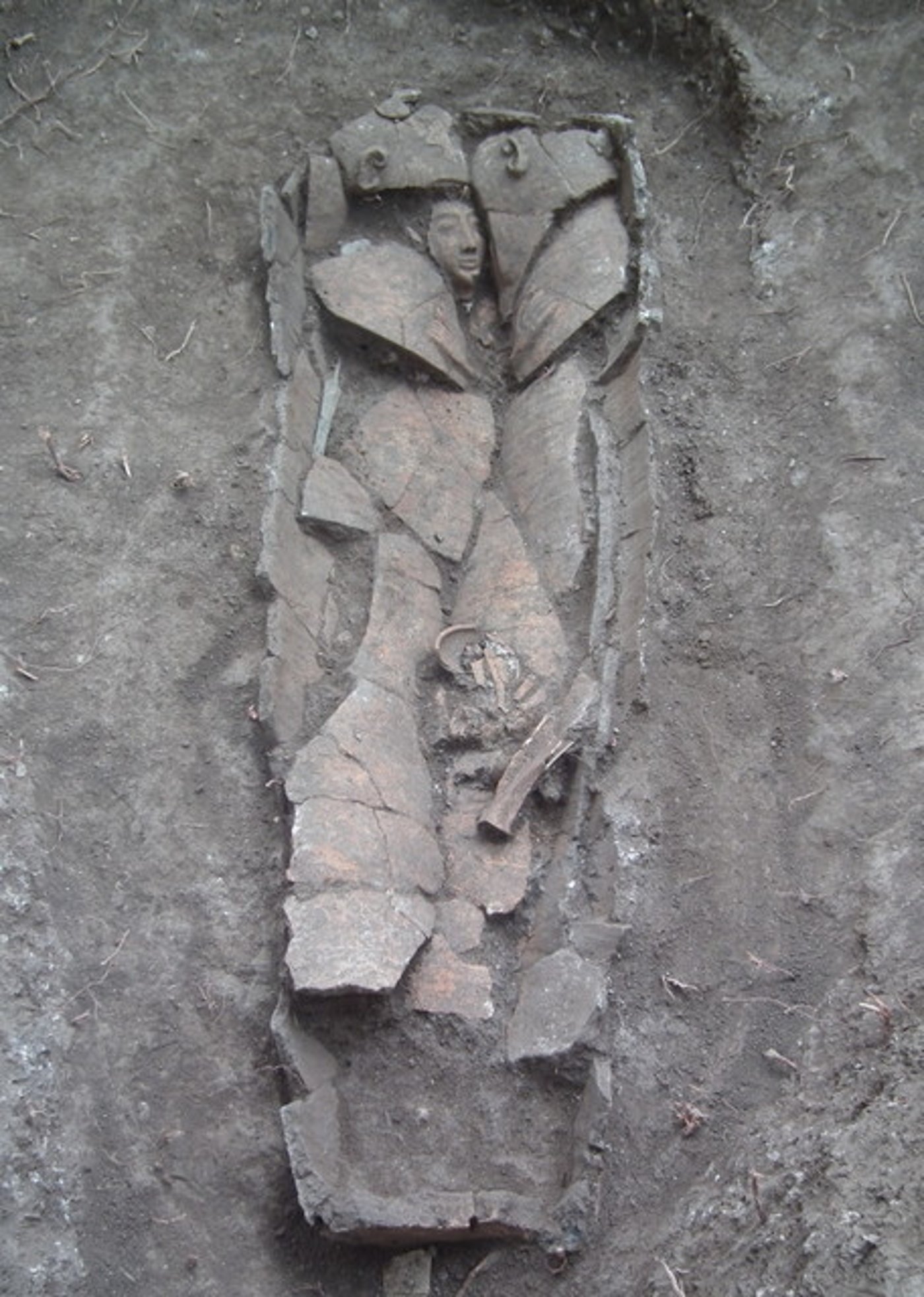unnamed (3)
