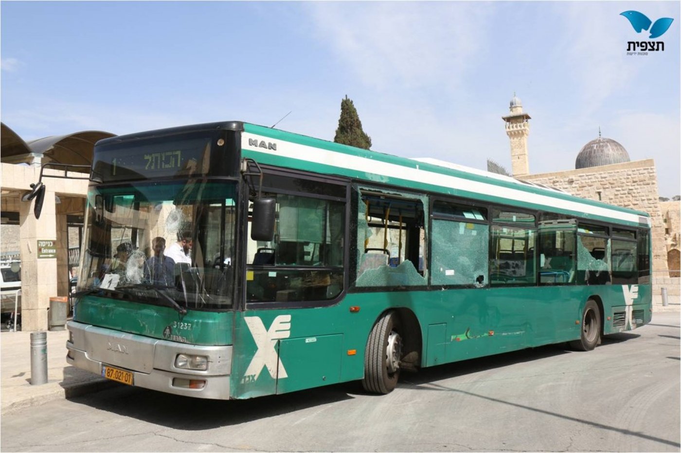 תמונה2