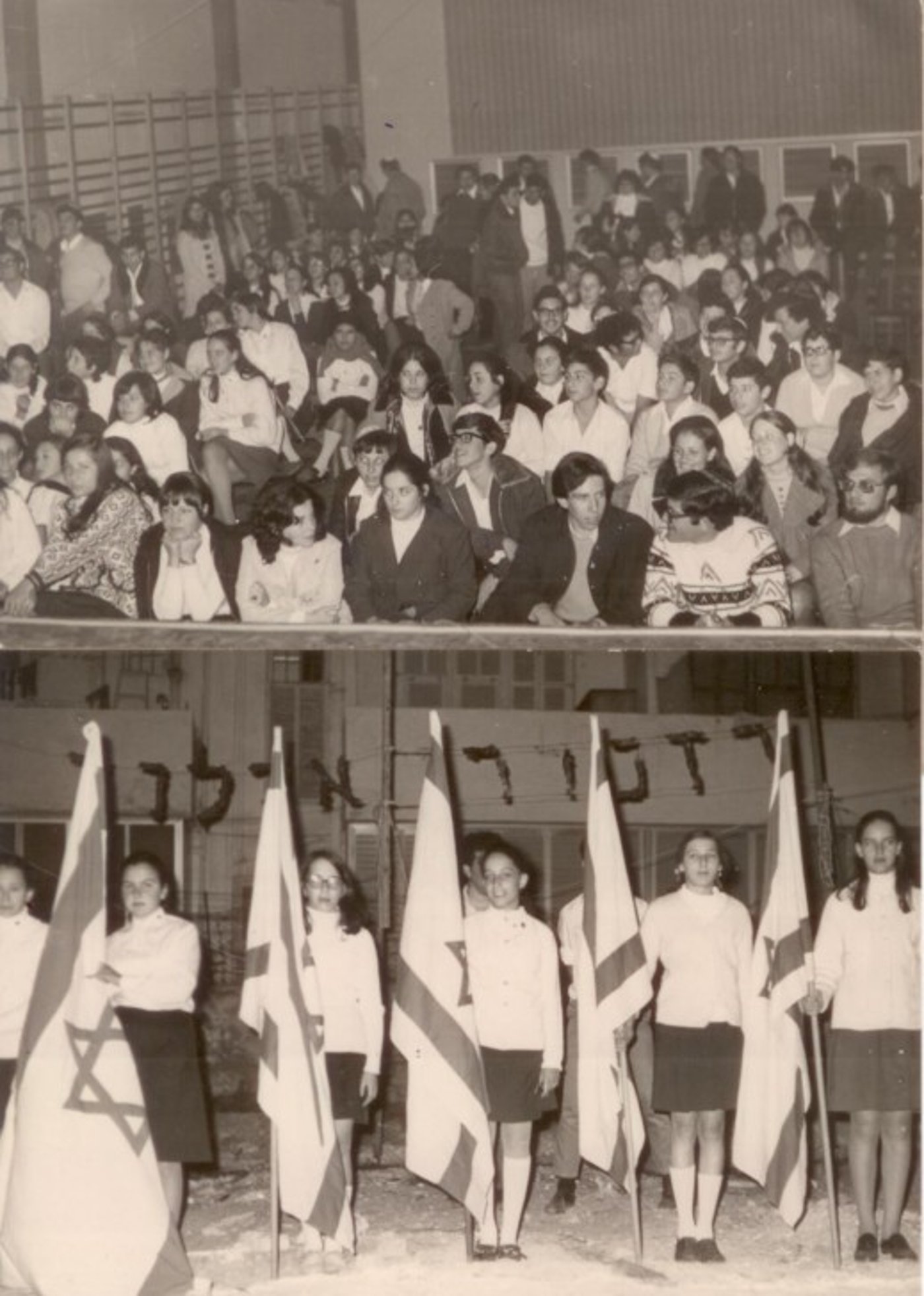 מרגנית (1)