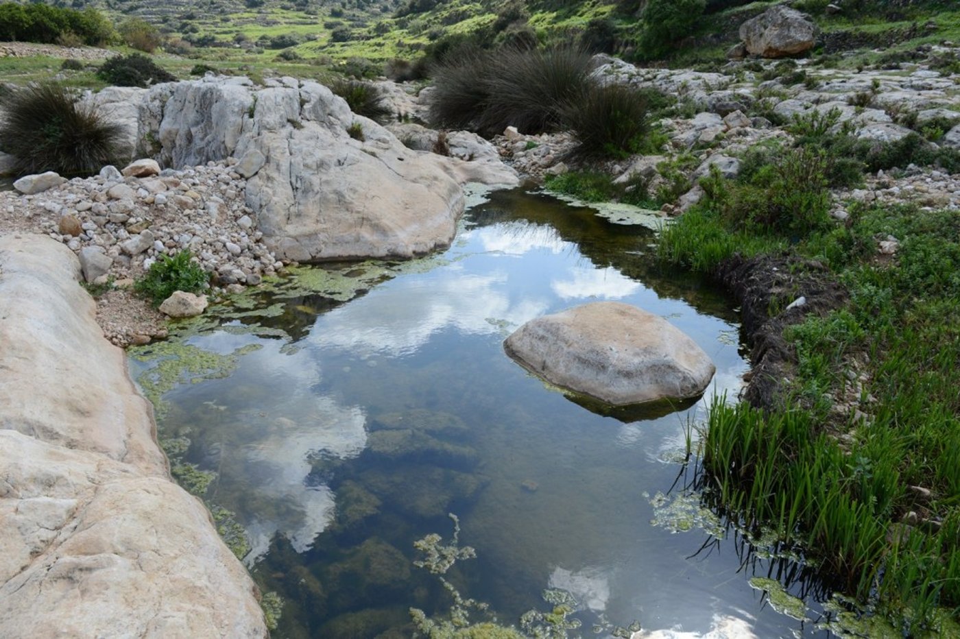 נחל קנה מקרוב יפה