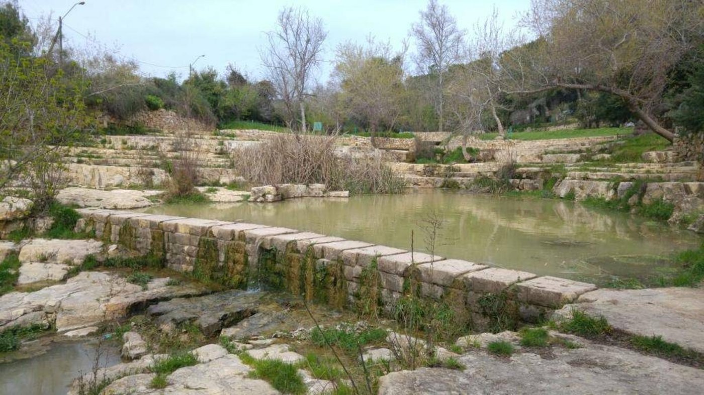עין חמד (צילום: טל ניר)