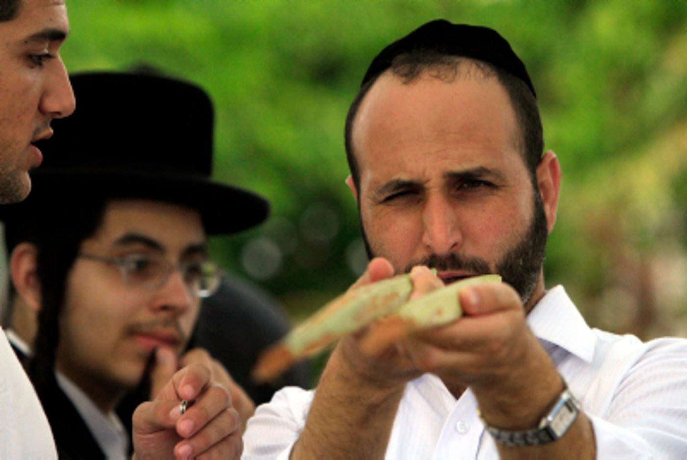 שלא יעבדו עליכם: הלקסיקון המלא לשוק ארבעת המינים