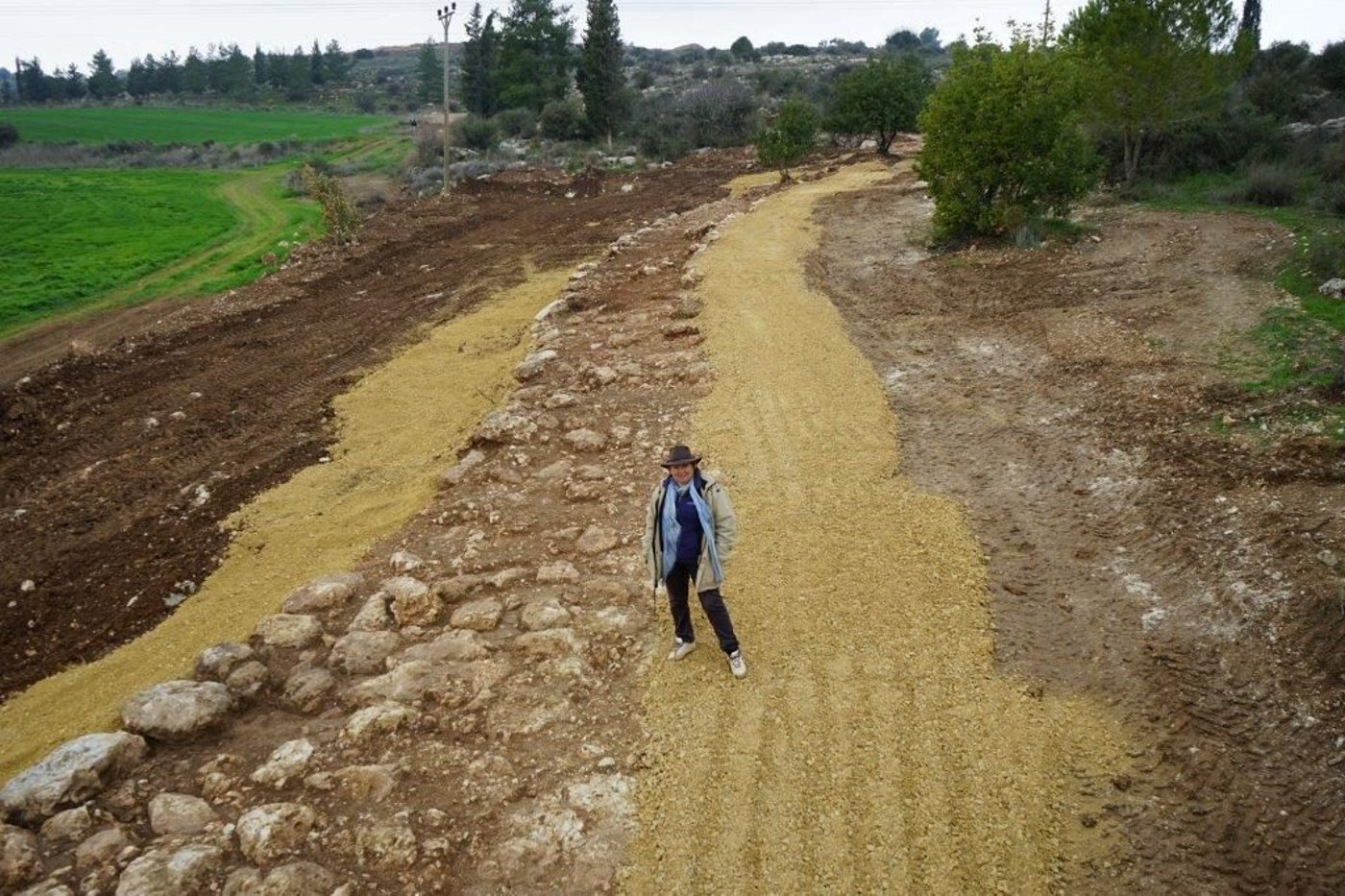 מנהלת החפירה אירנה זילברבוד באתר. חברת גריפין צילום אווירי, באדיבות רשות העתיקות