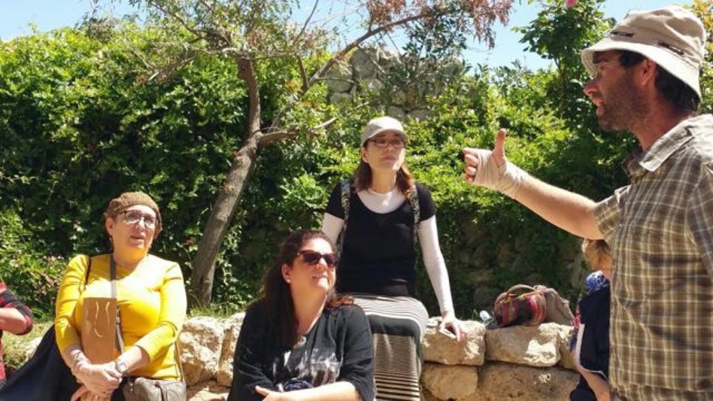 מניו יורק לארץ התנ"ך של הרצוג