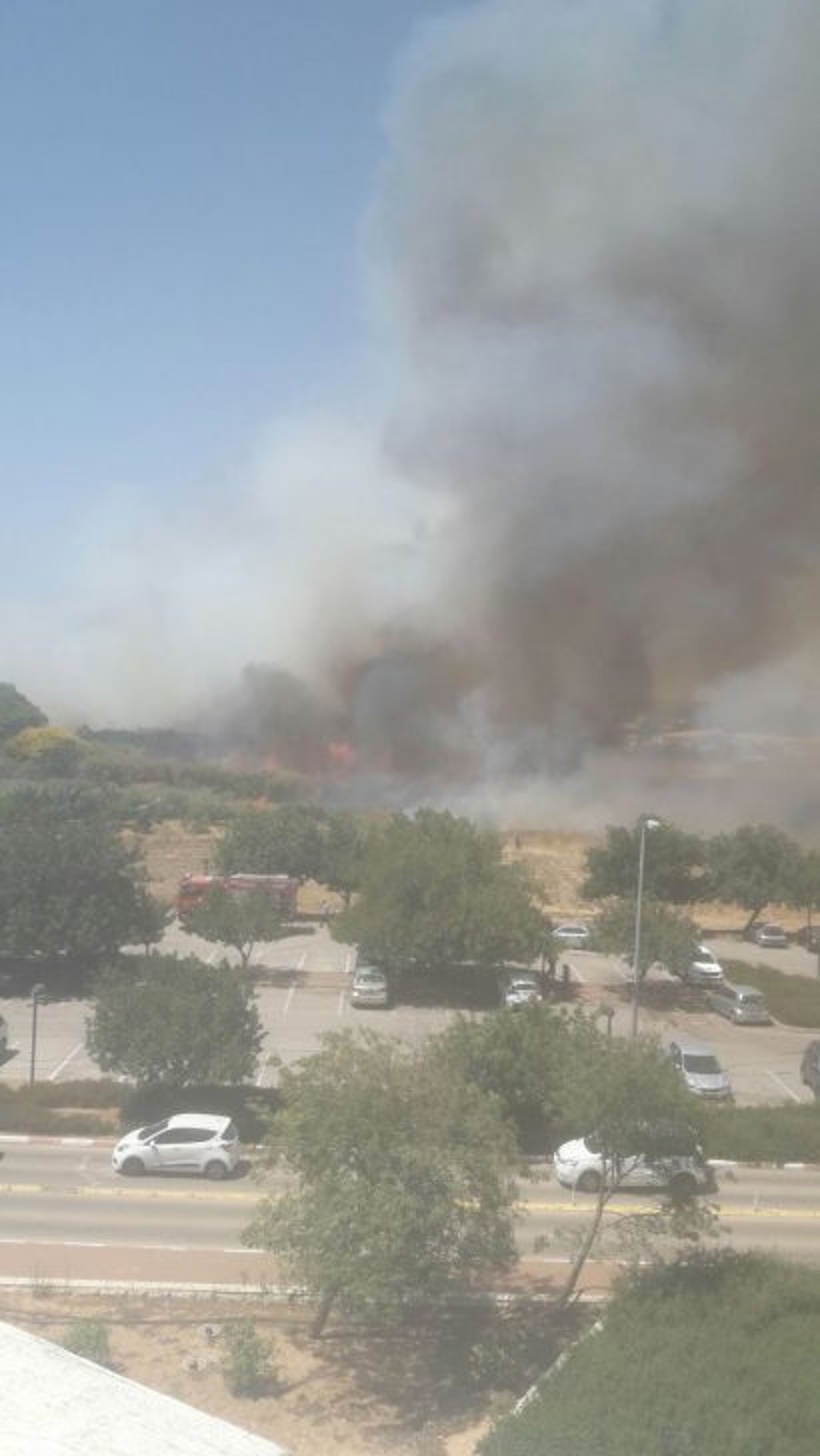שריפת קוצים ענקית סמוך למטה משרד החקלאות