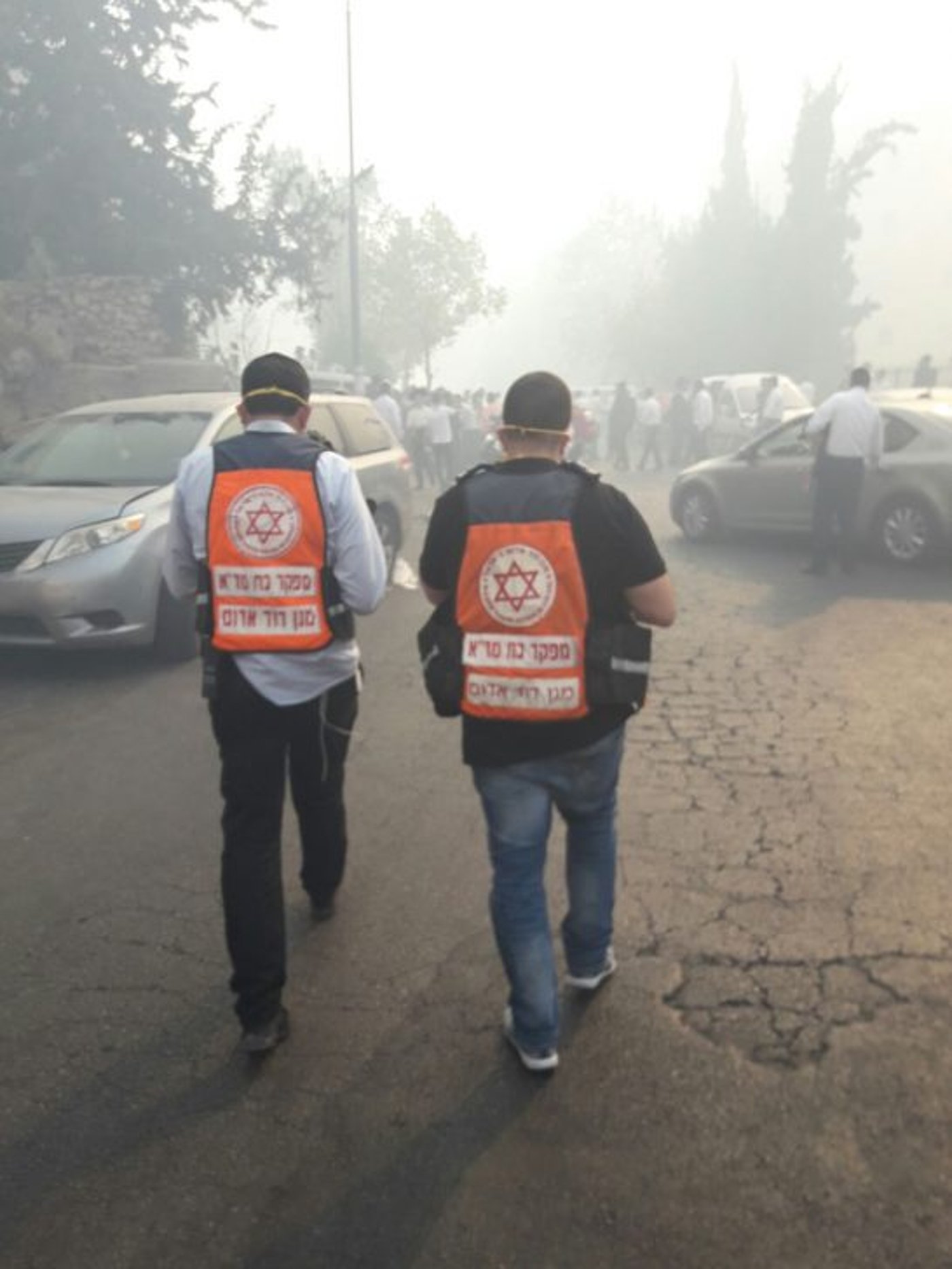 שריפה ביער ירושלים: תושבים פונו מבתיהם