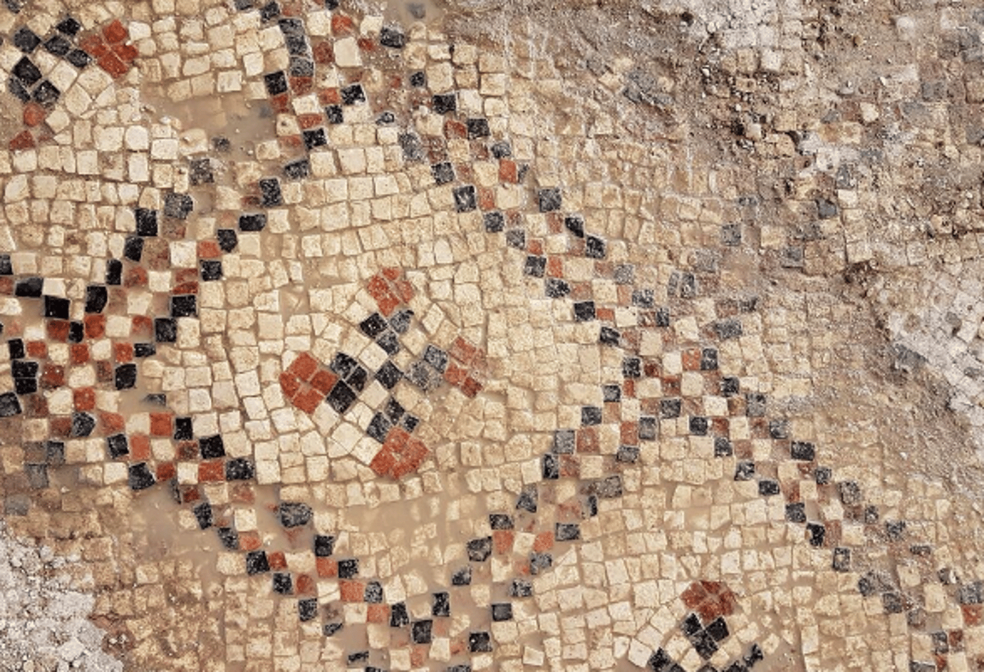 מרהיב: רצפת פסיפס נדירה נחשפה באשדוד