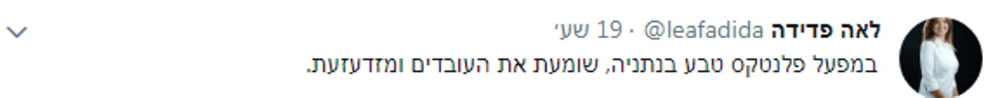 "להשמיד את המכינה'"; "למגר את הרב לוינשטיין"