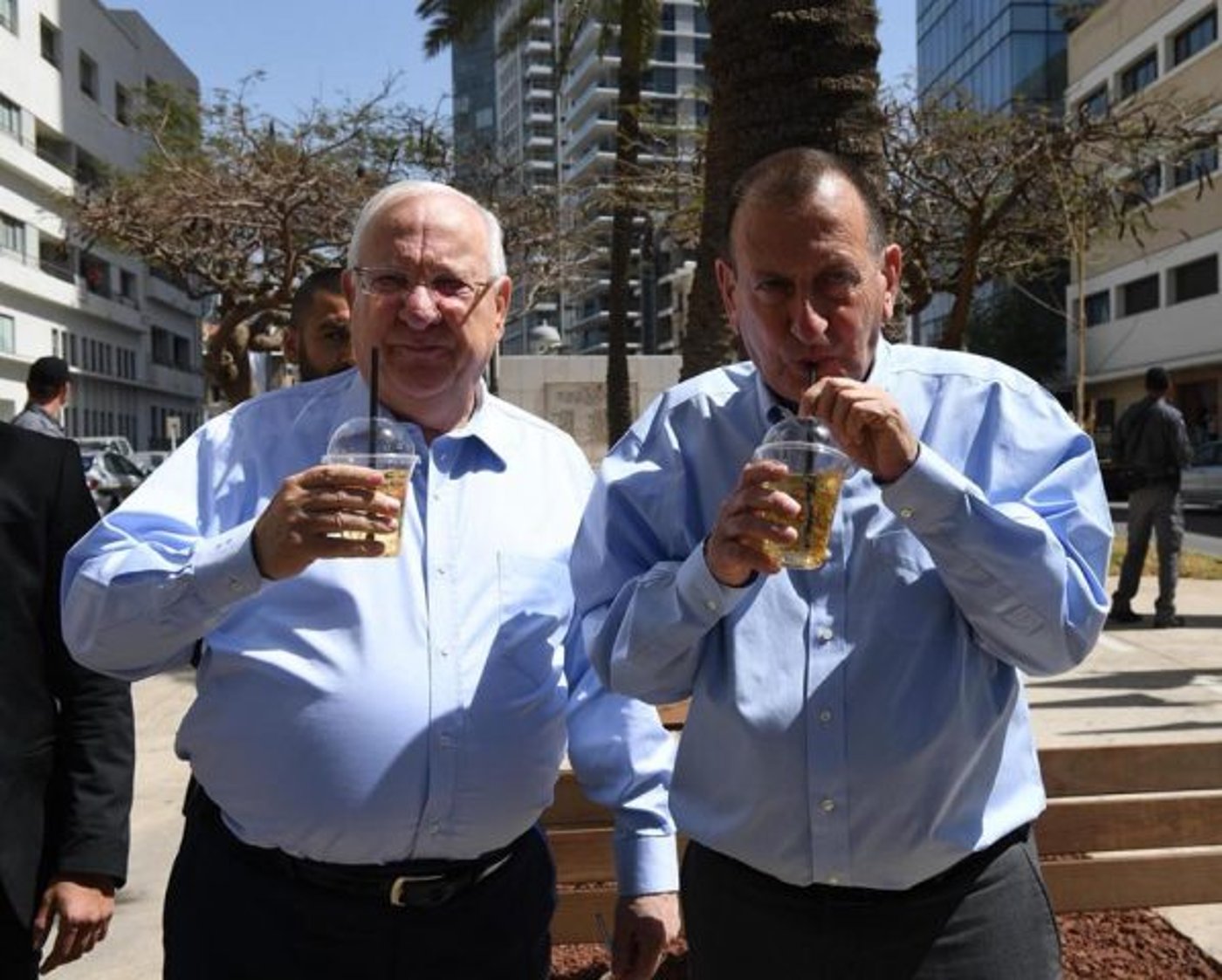 חולדאי וריבלין 