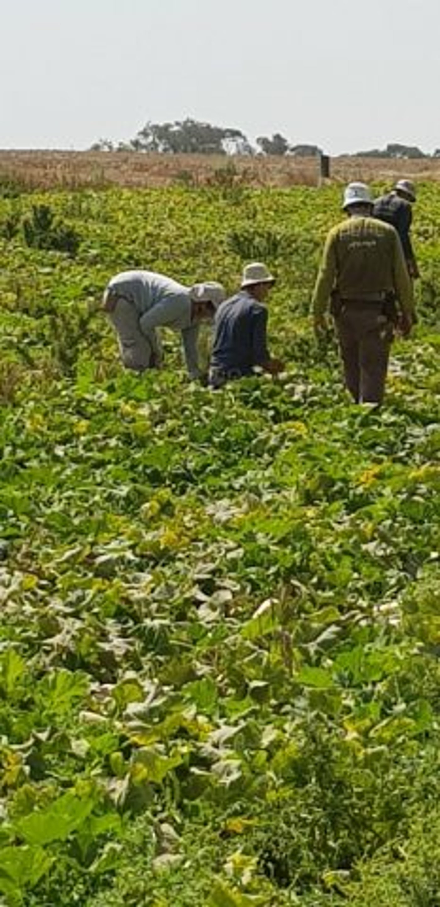 "כואב הלב לראות את כל השרוף מסביבנו"