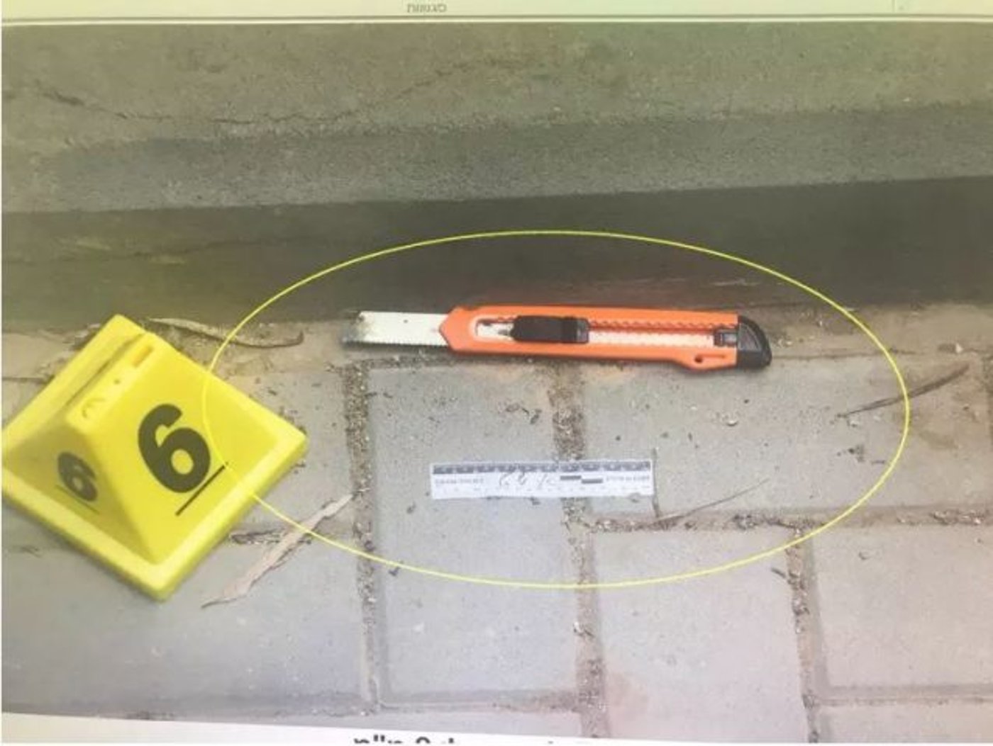 הסכין ששימש את המחבל (קרדיט: דוברות משטרת ישראל)