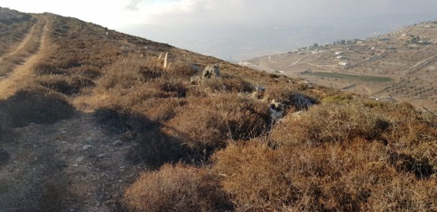 (צילום ארז בן סעדון)