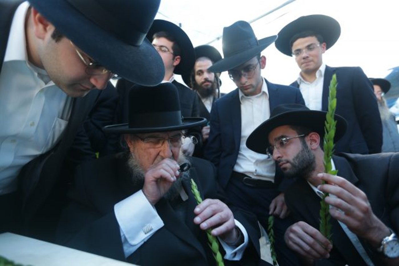 גלריה • 4 המינים ובניית סוכה: ההכנות לחג בירושלים
