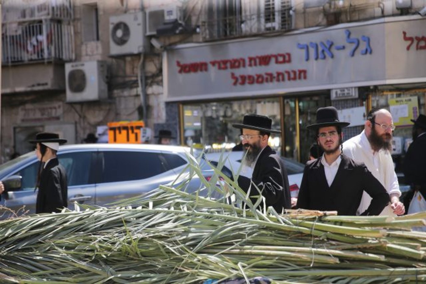 גלריה • 4 המינים ובניית סוכה: ההכנות לחג בירושלים