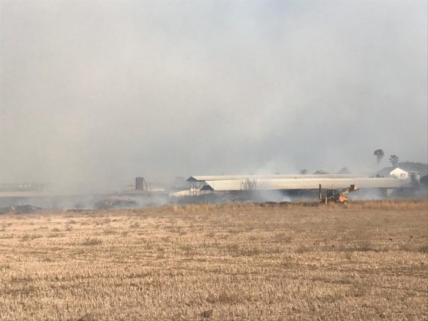 שריפה בדרום: תושבי מושב ברכיה פונו מבתיהם