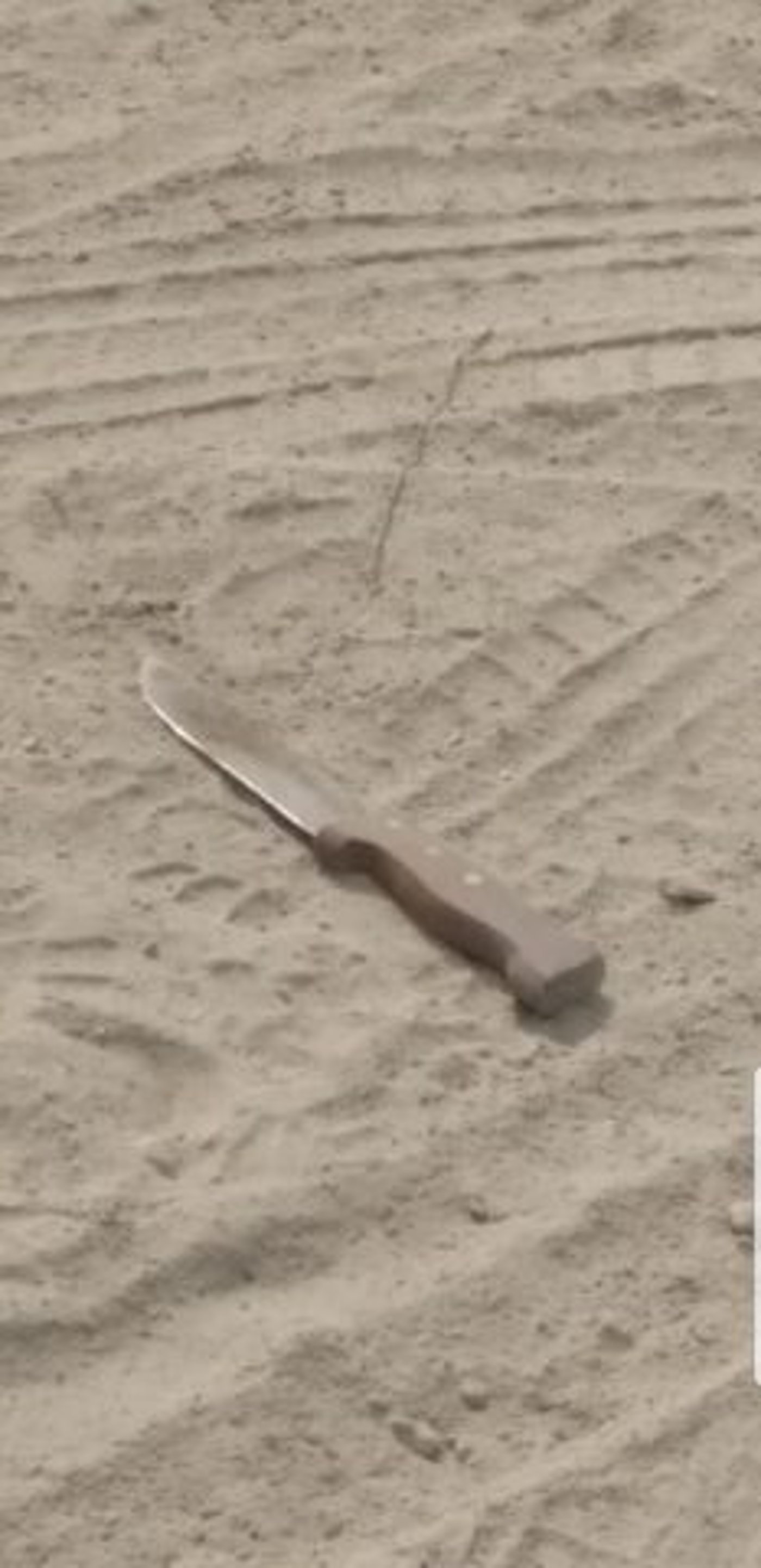 הסכין ששימשה את המחבל (מאיר עמרני)